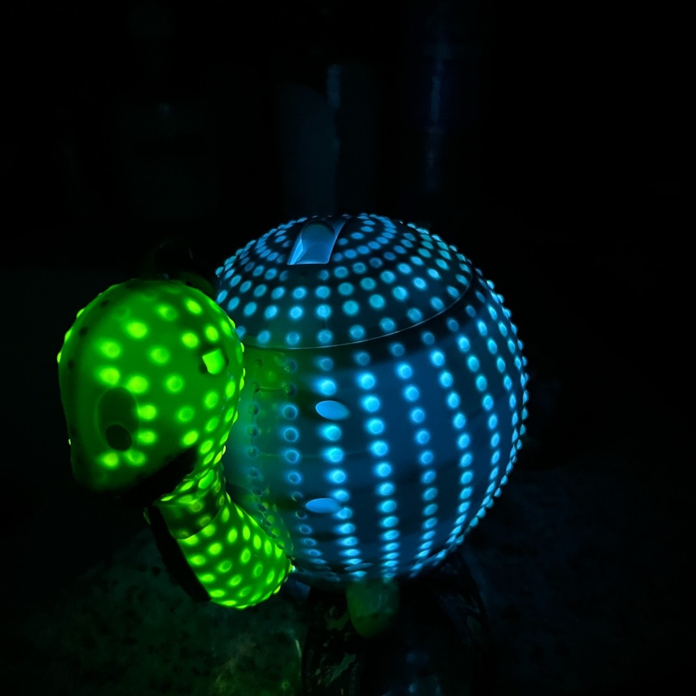 Disney Parks 50th Anniversary Celebration Sipper the Turtle Float - Picture 5 of 5